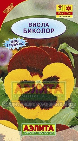 Семена. Виола «Биколор», 0,1 г