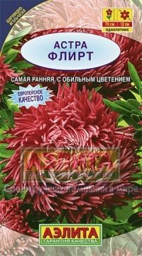 Семена. Астра «Флирт шаровидно-игольчатая», 0,3 г