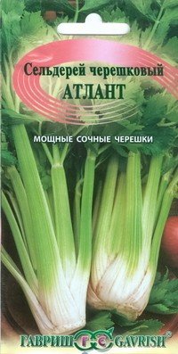 Семена. Сельдерей «Атлант»