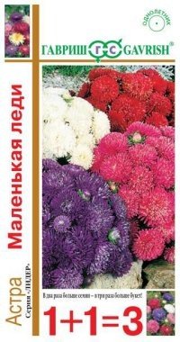 Семена. Астра «Маленькая леди», 0,6 г