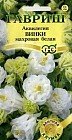 Семена. Аквилегия «Винки», белая