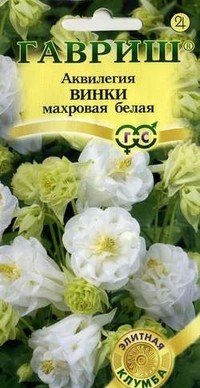 Семена. Аквилегия «Винки», белая