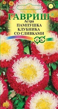 Семена. Астра «Пампушка клубника со сливками», 0,3 г