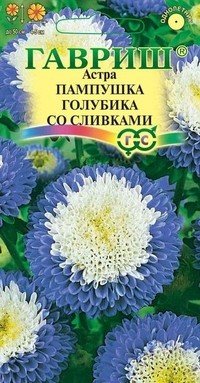 Семена. Астра «Пампушка» голубика со сливками, Н12