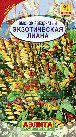 Вьюнок звездчатый «Экзотическая лиана», 0,4 г