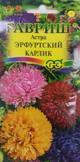 Семена. Астра «Эрфуртский карлик» (смесь), 0,3 г