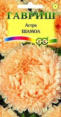 Семена. Астра «Шамоа», 03 г