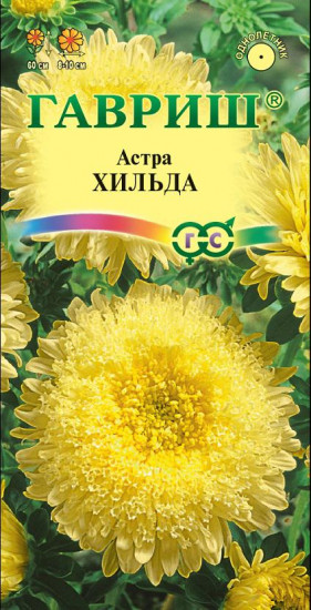Семена. Астра «Хильда», 0,3 г