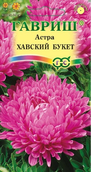 Семена. Астра «Хавский букет», 0,3г