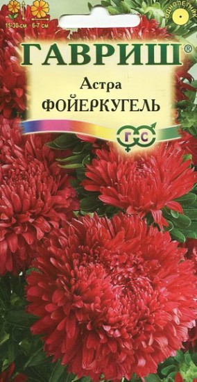 Семена. Астра «Фойеркугель», 0,3 г