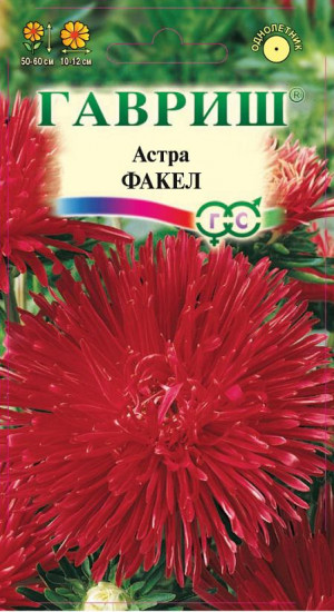 Семена. Астра «Факел», 0,3 г