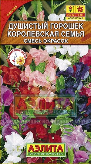 Семена. Душистый горошек «Королевская семья», 0,5 г