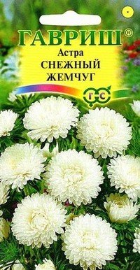 Семена. Астра «Снежный жемчуг», 0,3 г