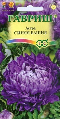 Семена. Астра «Синяя башня», 0,3 г