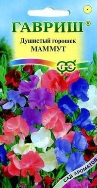 Семена. Душистый горошек «Маммут»