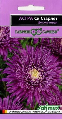 Семена. Астра «Си Старлет», фиолетовая