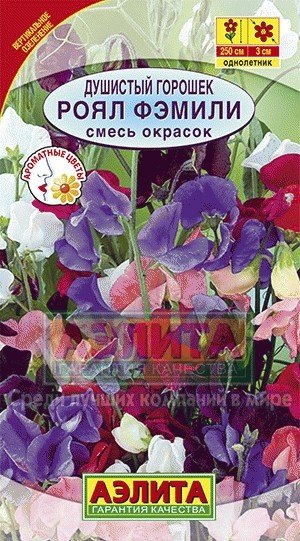 Семена. Душистый горошек «Роял Фэмили», 0,5 г