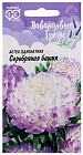 Семена. Астра «Серебряная башня», 0,3 г