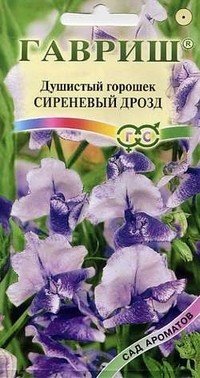 Душистый горошек «Сиреневый дрозд», 0,5 г
