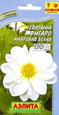 Семена. Георгина «Фигаро», махровая, белая