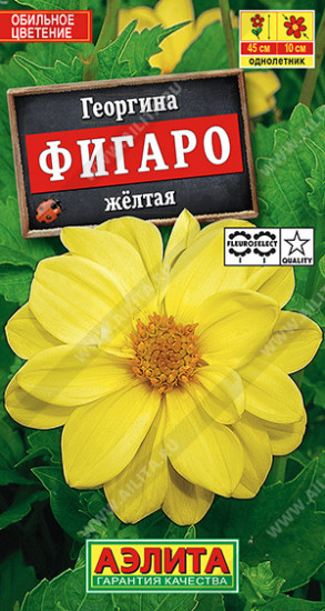 Семена. Георгин «Фигаро»