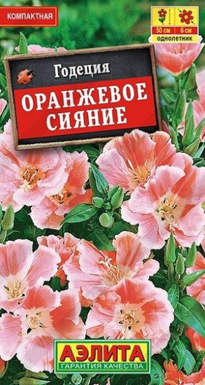 Семена. Годеция «Оранжевое сияние»