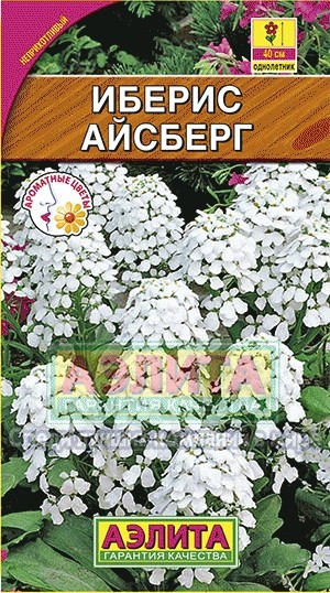 Семена. Иберис «Айсберг», 0,2 г