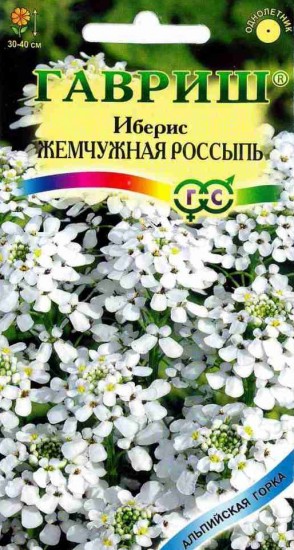 Семена. Иберис «Жемчужная россыпь», 0,2 г