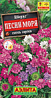 Семена. Иберис «Песни моря»
