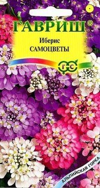 Семена. Иберис «Самоцветы», 0,2 г