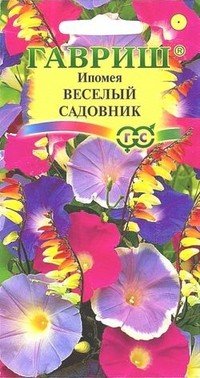 Семена. Ипомея «Веселый садовник», 0,5 г