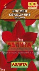 Семена. Ипомея «Квамоклит», красная