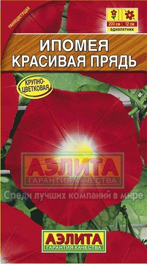 Семена. Ипомея «Красивая прядь», 1 г