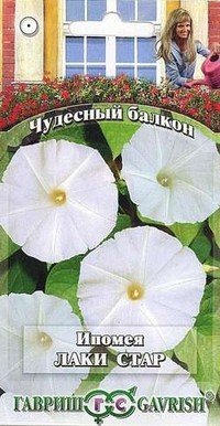 Семена. Ипомея «Лаки стар», 3 шт