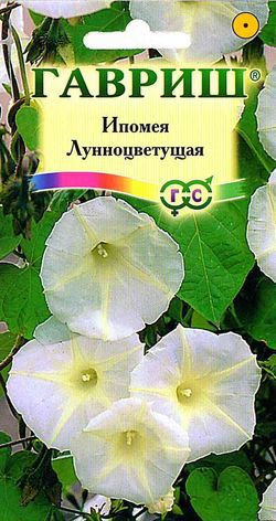 Ипомея «Лунноцветущая», 3 шт
