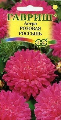 Семена. Астра «Розовая россыпь»