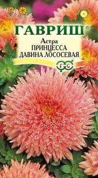 Семена. Астра «Принцесса Давина», лососевая