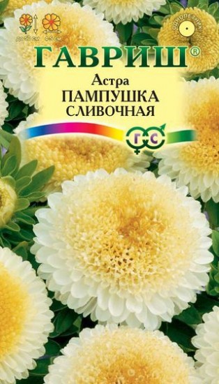 Семена. Астра «Пампушка сливочная», 0,3 г