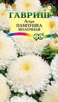Семена. Астра «Пампушка молочная», 0,3 г
