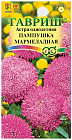 Семена. Астра «Пампушка мармеладная», 0,3 г