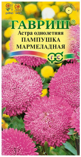 Семена. Астра «Пампушка мармеладная», 0,3 г
