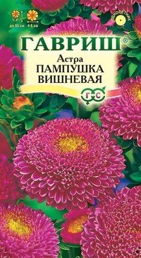 Семена. Астра «Пампушка», вишневая