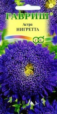 Семена. Астра «Нигретта»
