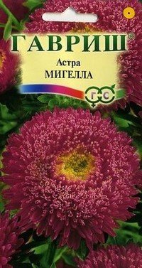 Семена. Астра «Мигелла», 0,3 г