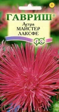 Семена. Астра «Майстер Лаксфе», 0,3 г