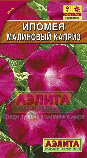 Семена. Ипомея «Малиновый каприз», 1 г