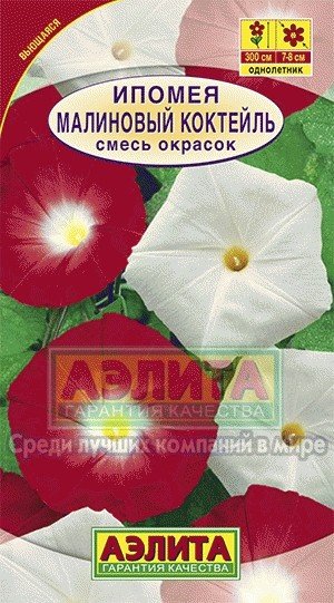 Семена. Ипомея «Малиновый коктейль», 0,5 г