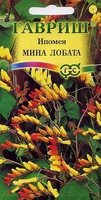 Семена. Ипомея «Мина Лобата», 0,5 г