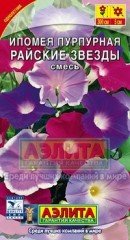 Семена. Ипомея «Райские звезды», 0,5 г