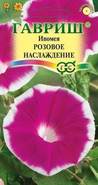 Семена. Ипомея «Розовое наслаждение»